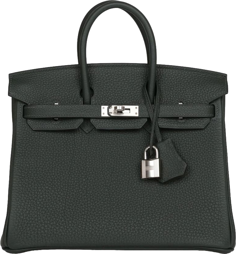 Hermes Birkin 25 Vert Fonce Togo Palladium Hardware