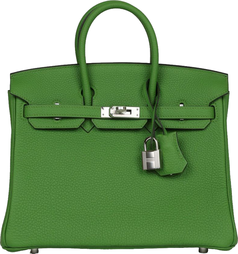 Hermes Birkin 25 Vert Yucca Togo Palladium Hardware