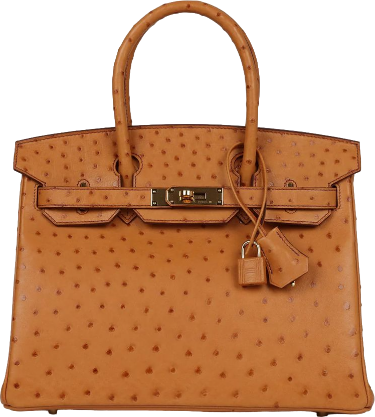 Hermes Birkin 30 Gold Ostrich Gold Hardware Hermes Birkin 30 Gold Ostrich Gold Hardware