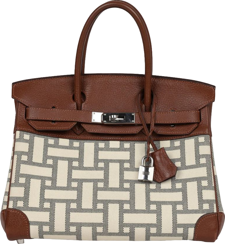 Hermes Birkin 30 Marron D'Inde Buffalo and Mosaique Canvas Palladium Hardware