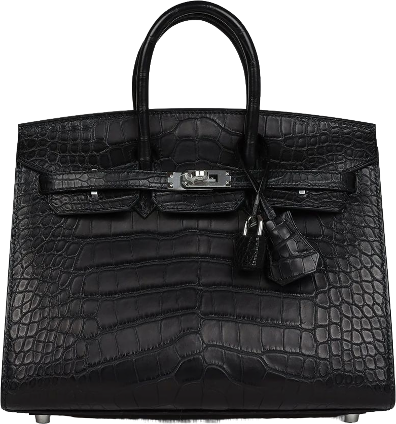 Hermes Birkin Sellier 25 Black Matte Alligator Palladium Hardware