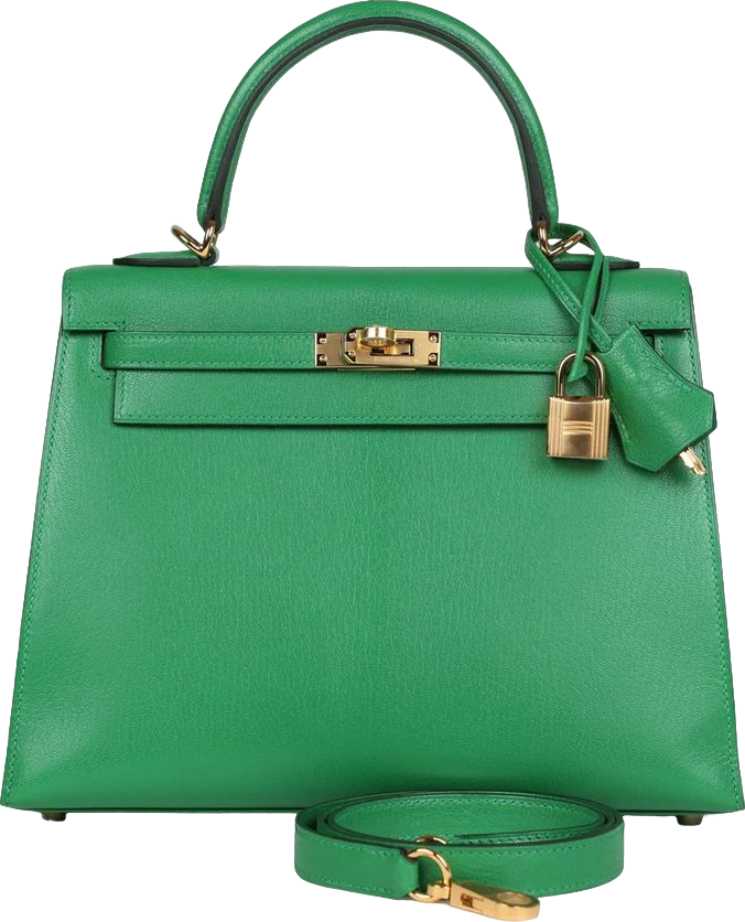 Hermes Kelly Sellier 25 Bambou Chevre Chamkila Gold Hardware