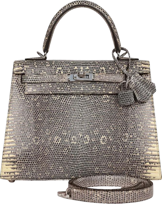 Hermes Kelly Sellier 25 Ombre Varanus Salvator Lizard Palladium Hardware Hermes Kelly Sellier 25 Ombre Varanus Salvator Lizard Palladium Hardware