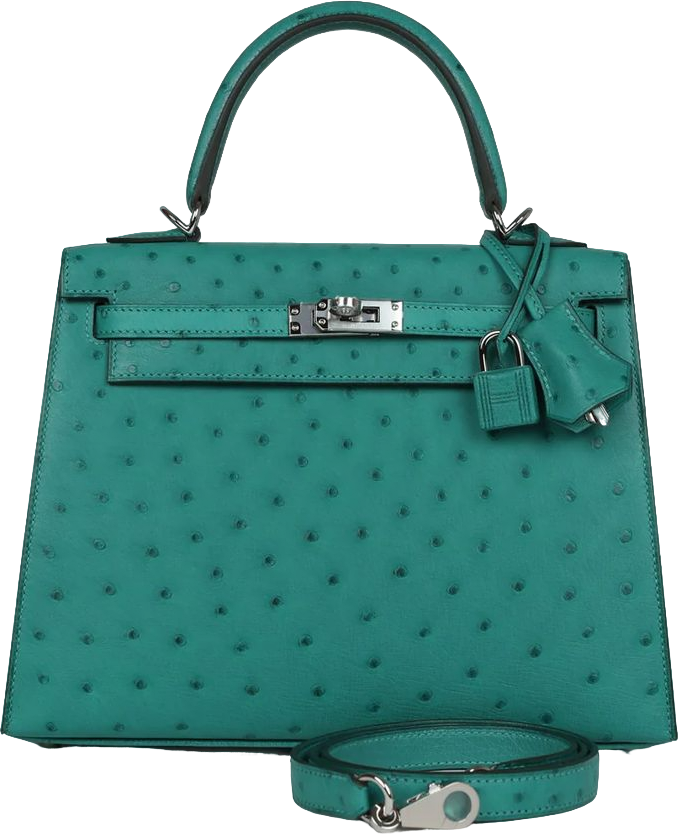 Hermes Kelly Sellier 25 Vert Verone Ostrich Palladium Hardware Hermes Kelly Sellier 25 Vert Verone Ostrich Palladium Hardware