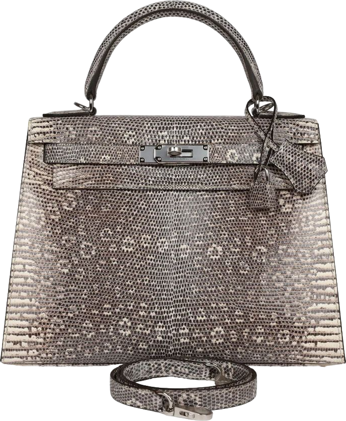 Hermes Kelly Sellier 28 Ombre Varanus Salvator Lizard Palladium Hardware