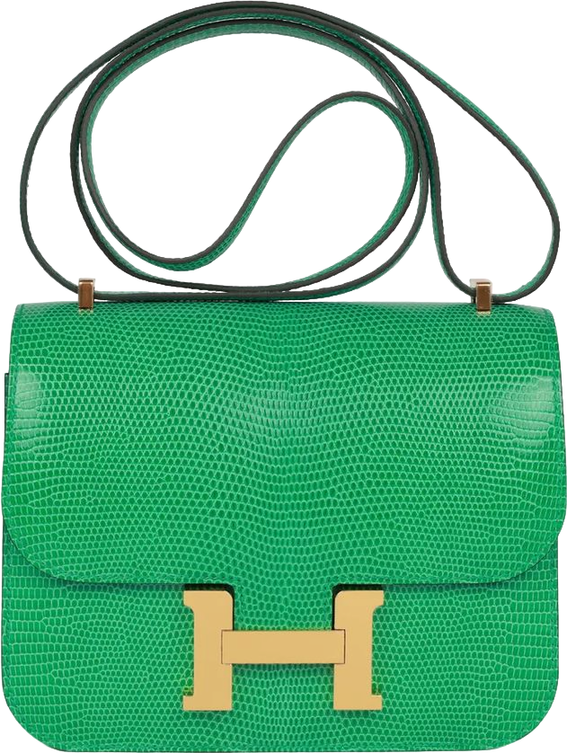 Hermes Mini Constance 18 Menthe Lizard Salvator Gold Hardware