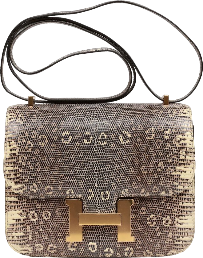 Hermes Mini Constance 18 Ombre Lizard Varanus Salvator Gold Hardware Hermes Mini Constance 18 Ombre Lizard Varanus Salvator Gold Hardware
