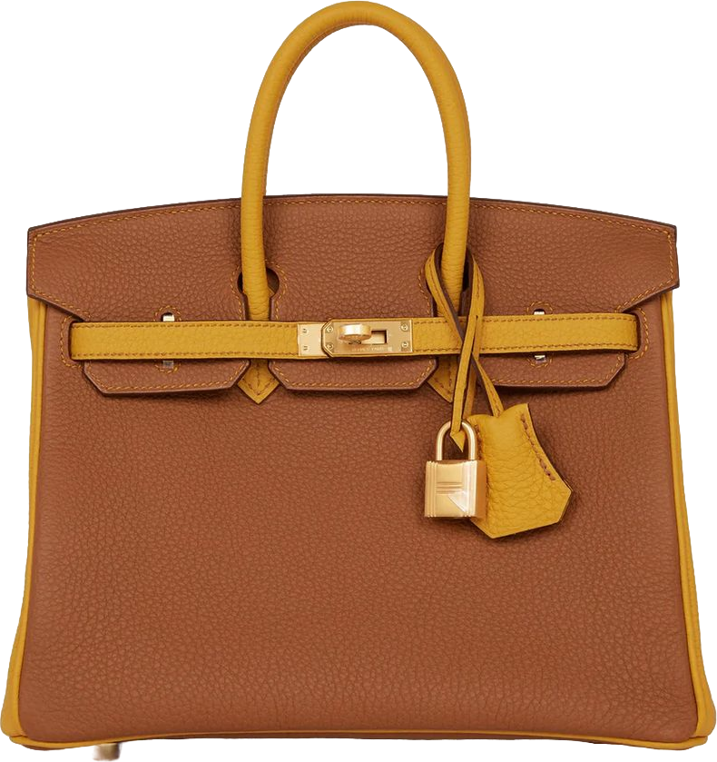 Hermes Special Order (HSS) Birkin 25 Gold and Jaune Ambre Togo Brushed Gold Hardware Hermes Special Order (HSS) Birkin 25 Gold and Jaune Ambre Togo Brushed Gold Hardware
