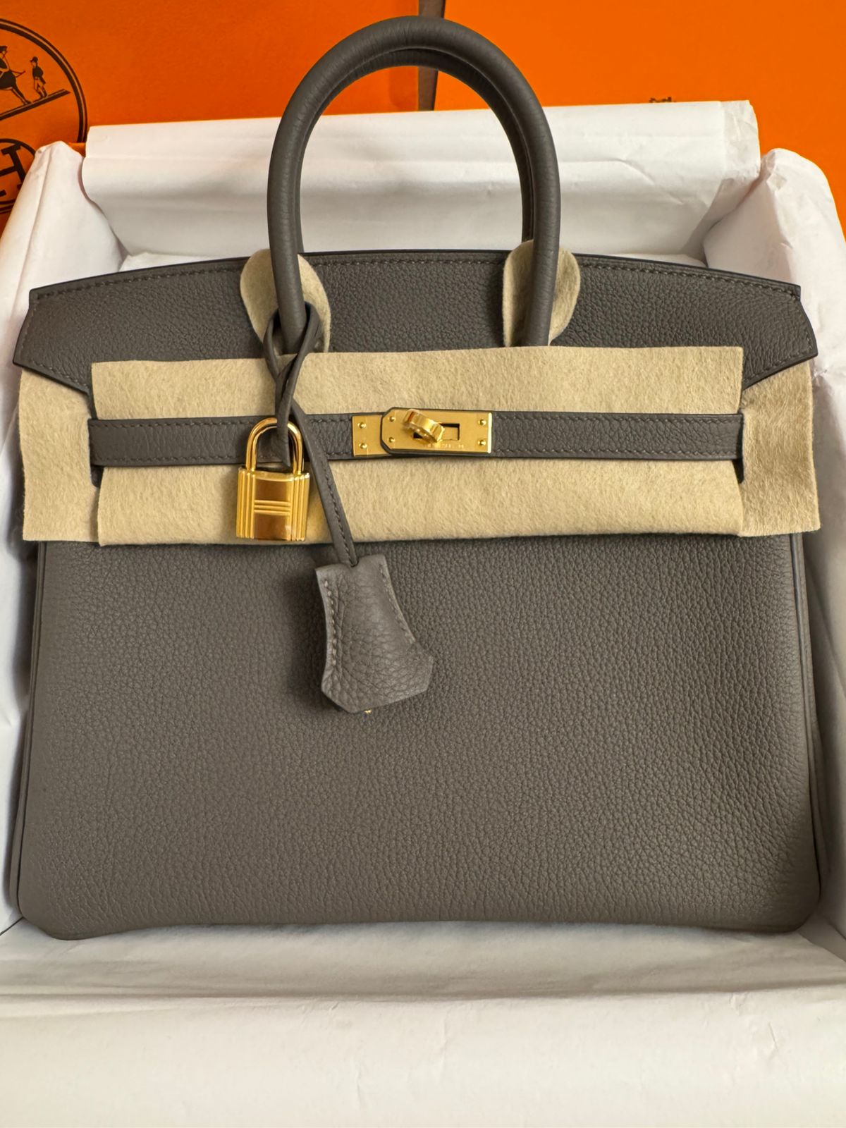 Hermes Birkin 25 / Gris Etain / Togo / GHW W