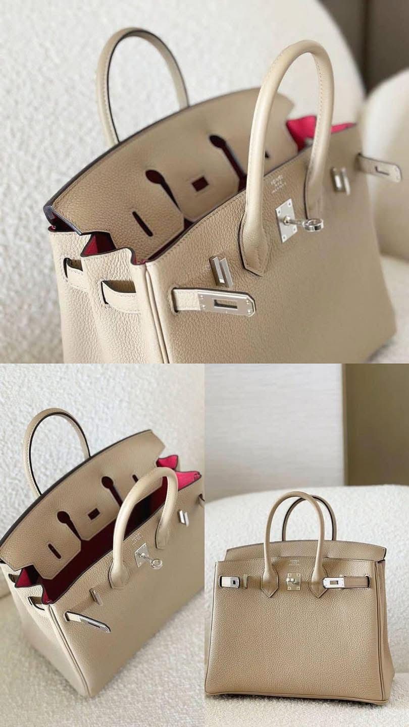 Hermes Birkin 25 bougainvillea / trench verso / PHW U