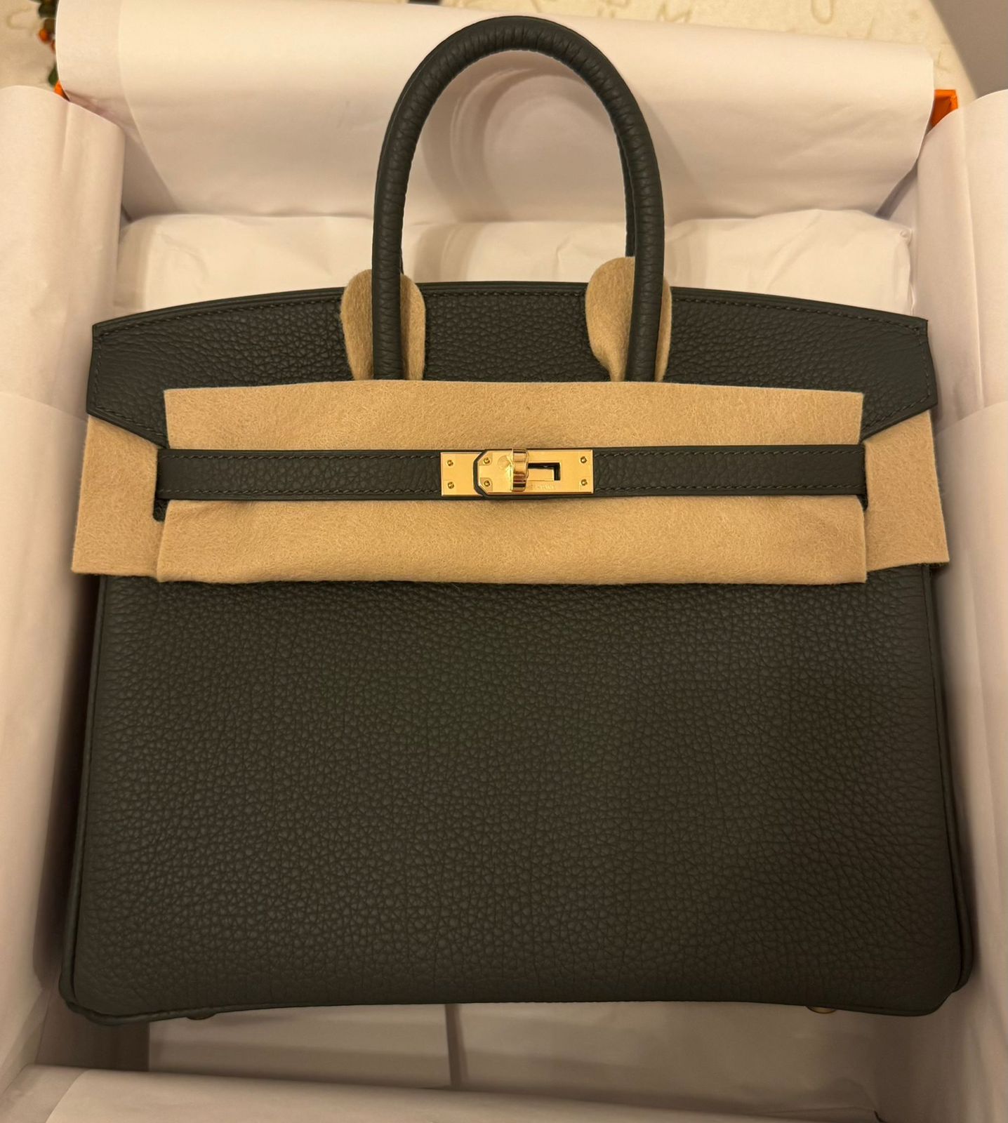 Hermes Birkin 25 Vert Mangrove / Togo / ghw W Hermes Birkin 25 Vert Mangrove / Togo / ghw W