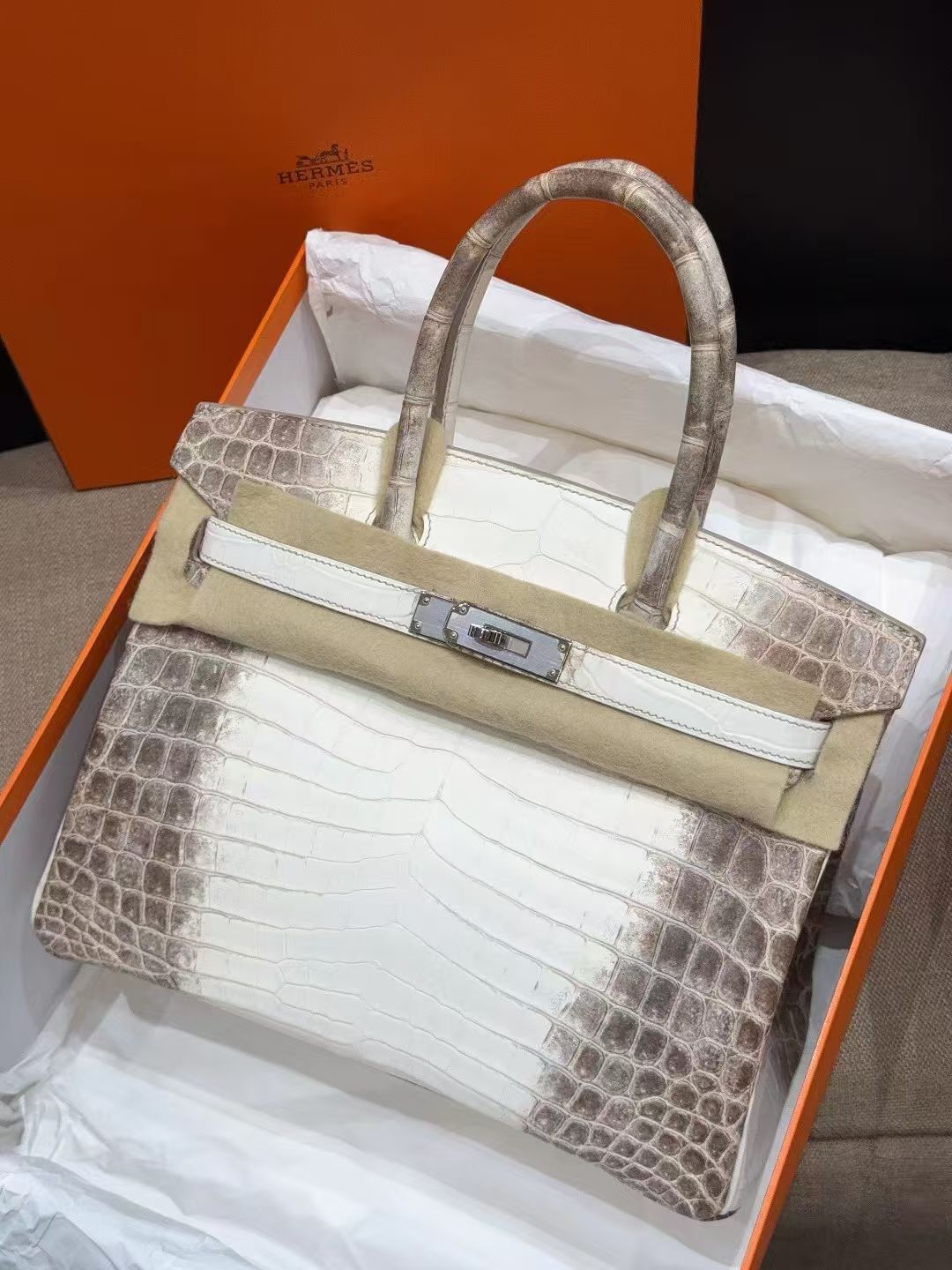 Hermes Birkin 30 Mate Himalaya / Crocodile Niloticus / Phw Hermes Birkin 30 Mate Himalaya / Crocodile Niloticus / Phw