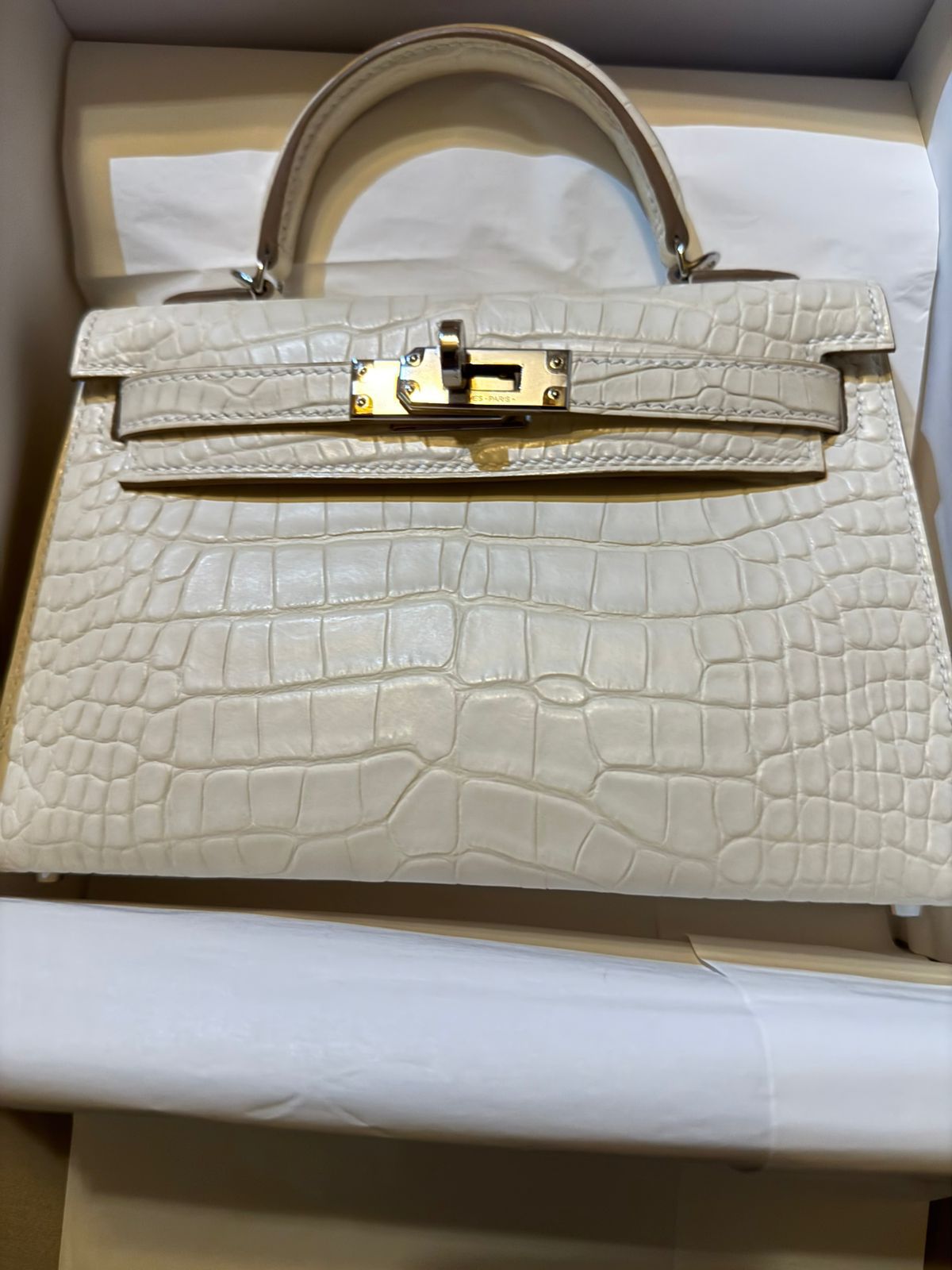 Hermes Mini Kelly 20 Satin Nata / Boreal Alligator / Phw W Hermes Mini Kelly 20 Satin Nata / Boreal Alligator / Phw W